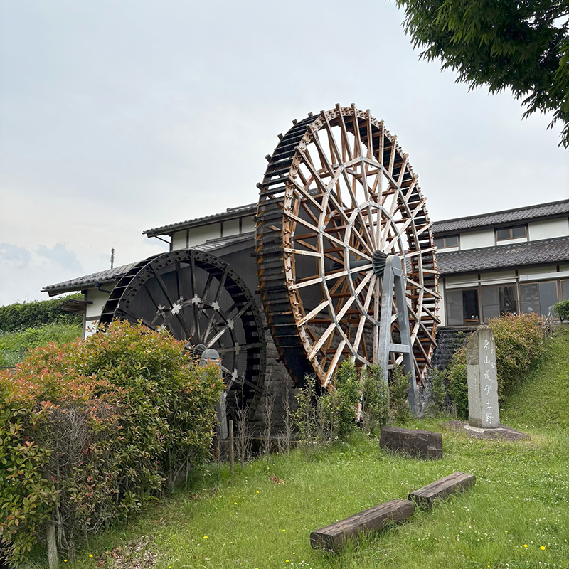 2025年度 栃木版 ガチャピンズラリー達成者