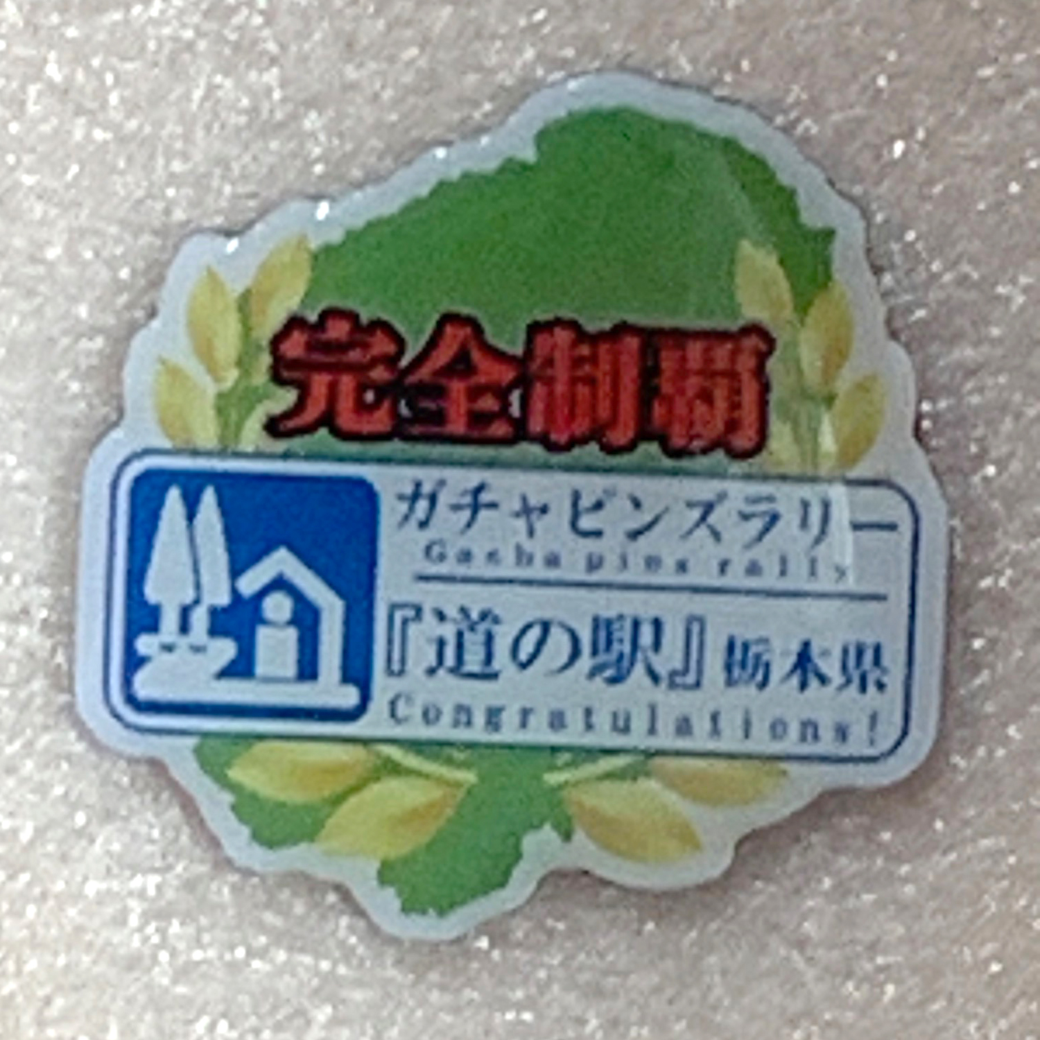 完全制覇記念品 完全制覇ピンズ